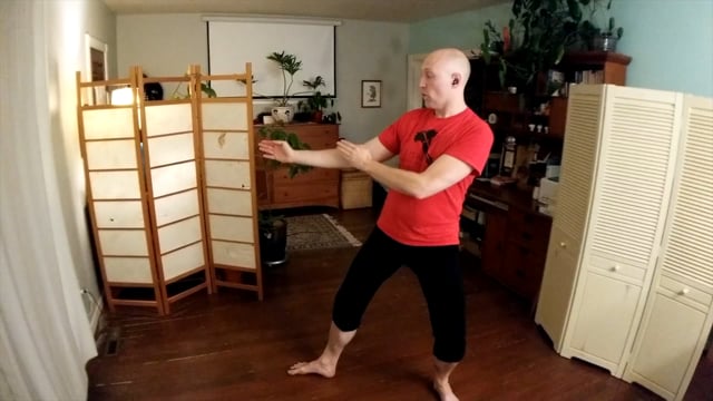 Lunge and Reverse Lunge in Closed Positions | RA Solo