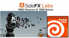 16 Director & solver RBD