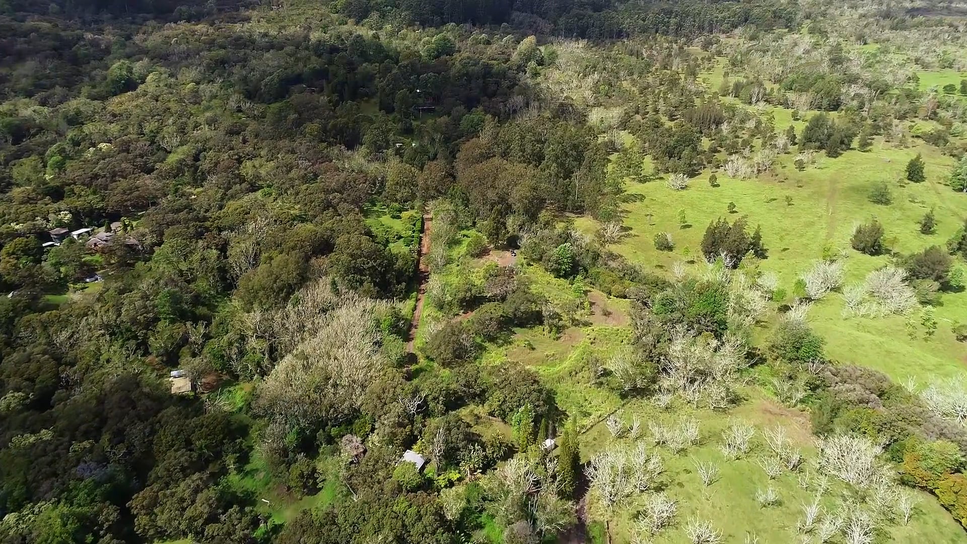 Paauilo Land Paauilo Land on Vimeo