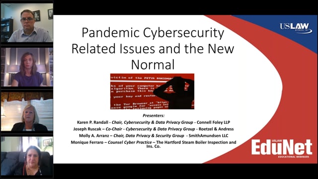 Pandemic Cybersecurity Related Issues and the New Normal Video