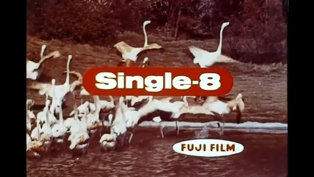 fujifilm single 8