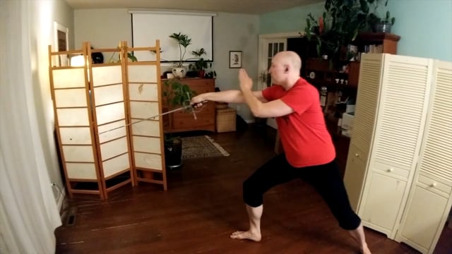Lunging into Closed Positions | RA Solo