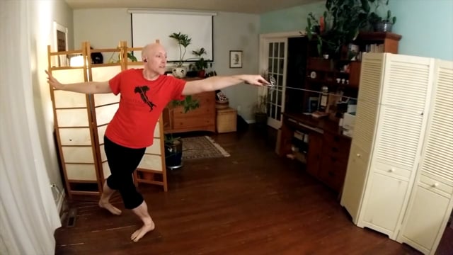 Lunge and Leg Void | RA Solo