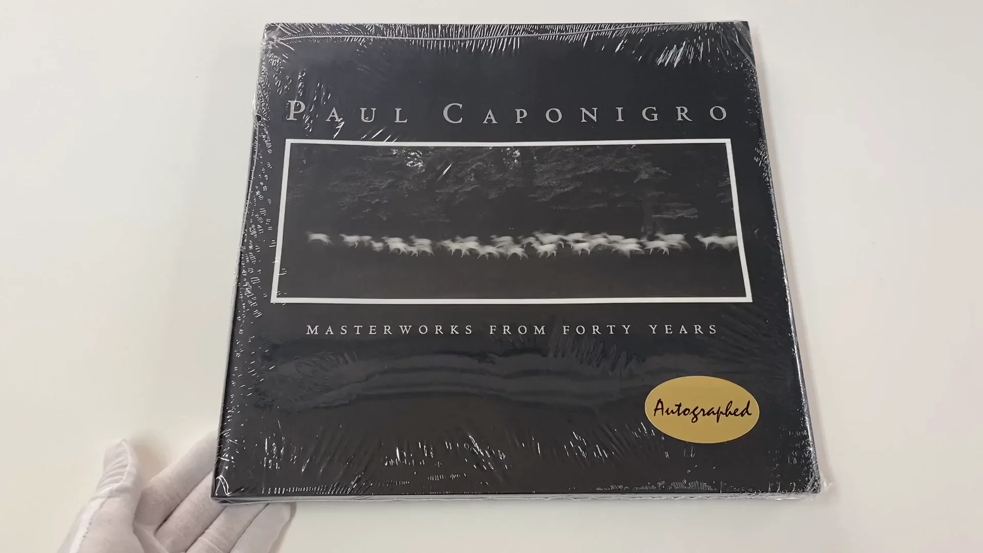 ポール・カポニグロ The Wise Silence Paul Caponigr Caponigro.jpg?fit=900,1200&ssl=1
