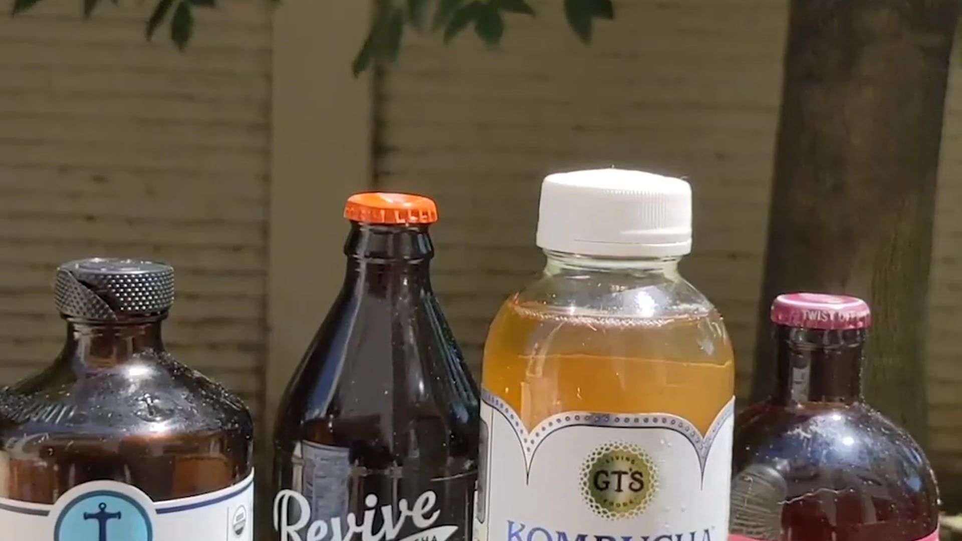 Making with Microbes - The Kitchen Sink Approach