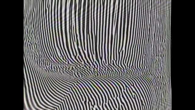 Vibrance / Charline Dally (extrait)