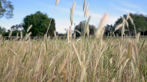 The Wildflower Country Event Center - Wimberley, Texas #1