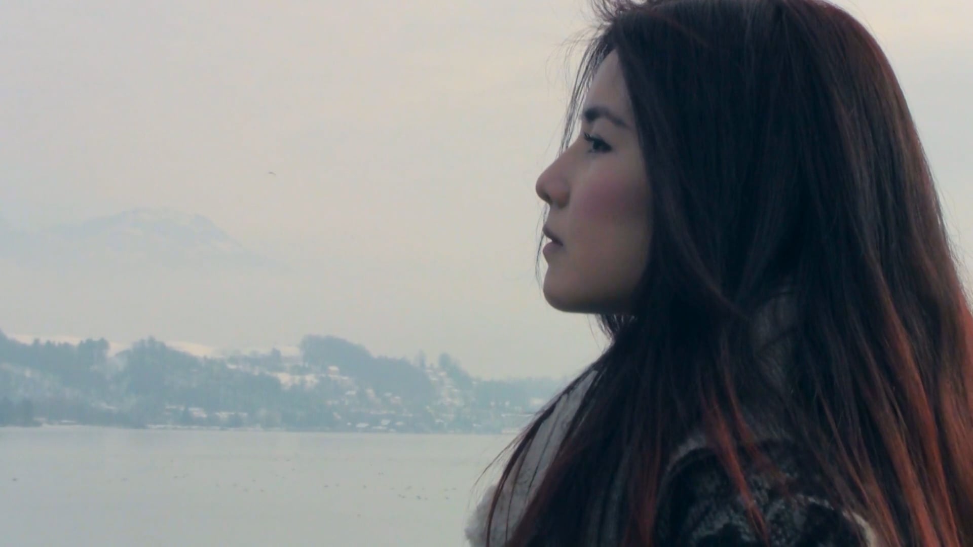 A Divided Whole - Teaser Trailer