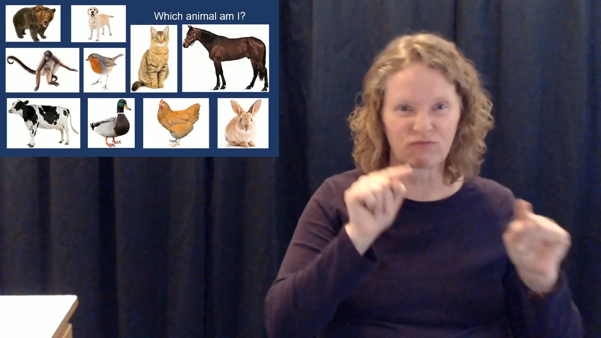 101 Vocab: Animals