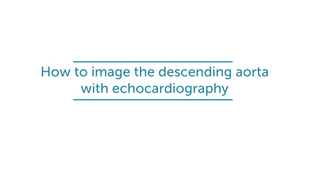 How to image the descending aorta with echocardiography