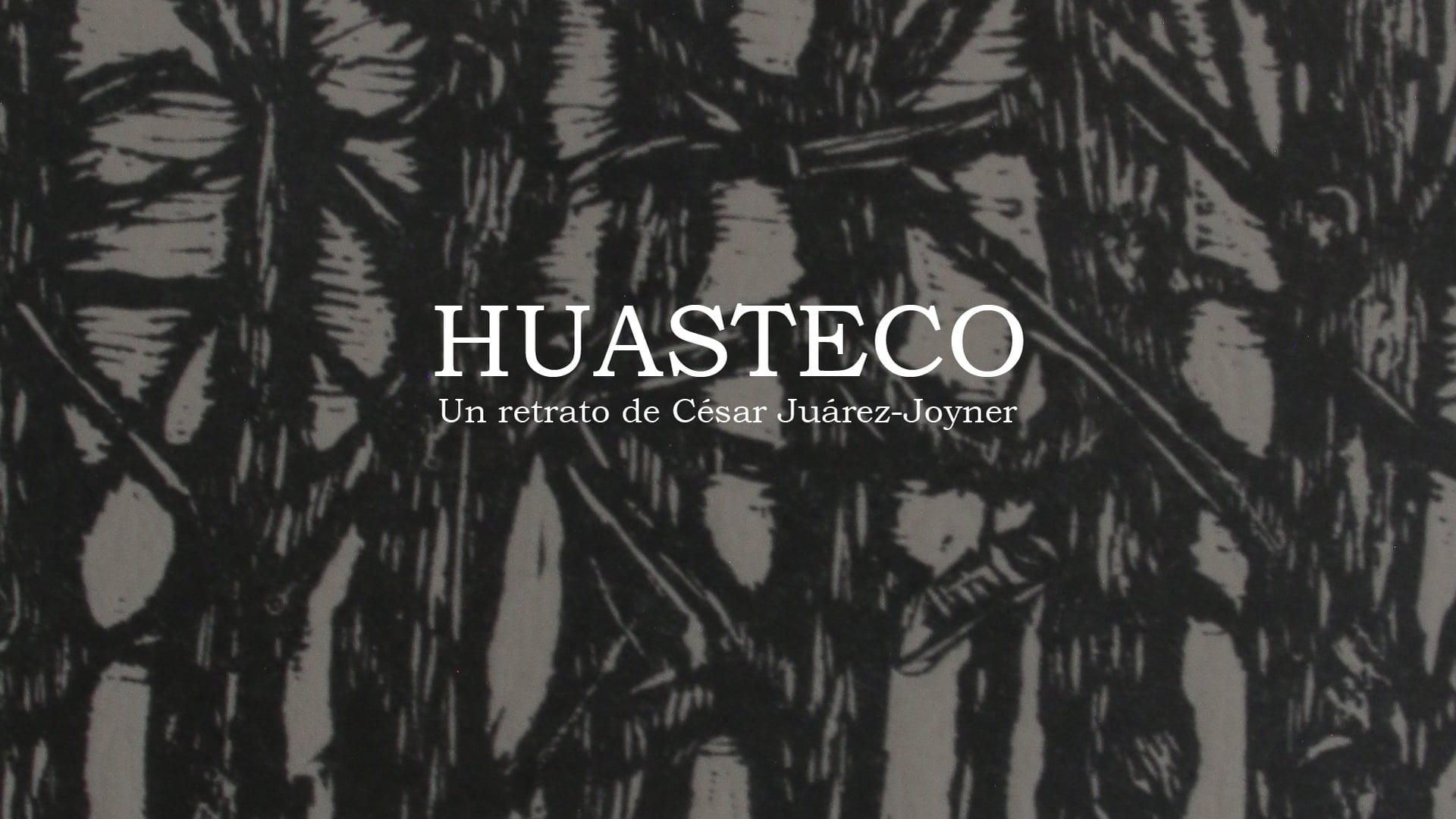 Huasteco | Retrato de César Juárez-Joyner