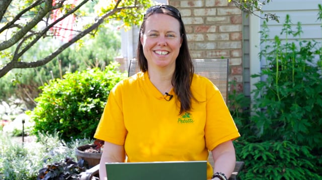 How Do I…? Your Late Spring 2020 Garden Questions Answered