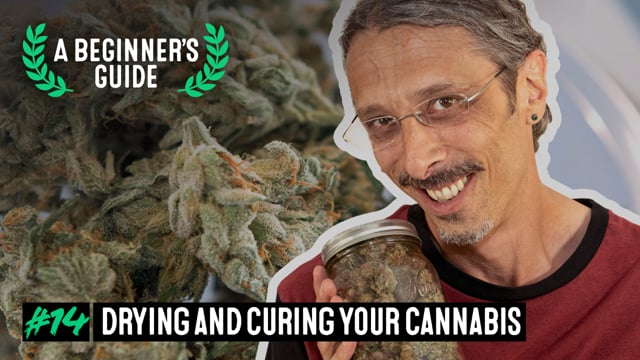 Drying and Curing Weed - A Beginner’s Guide with Kyle Kushman