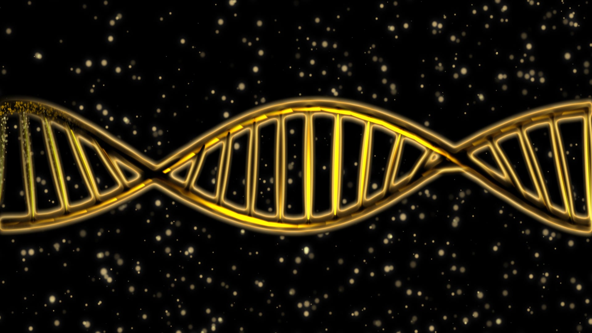 DNA