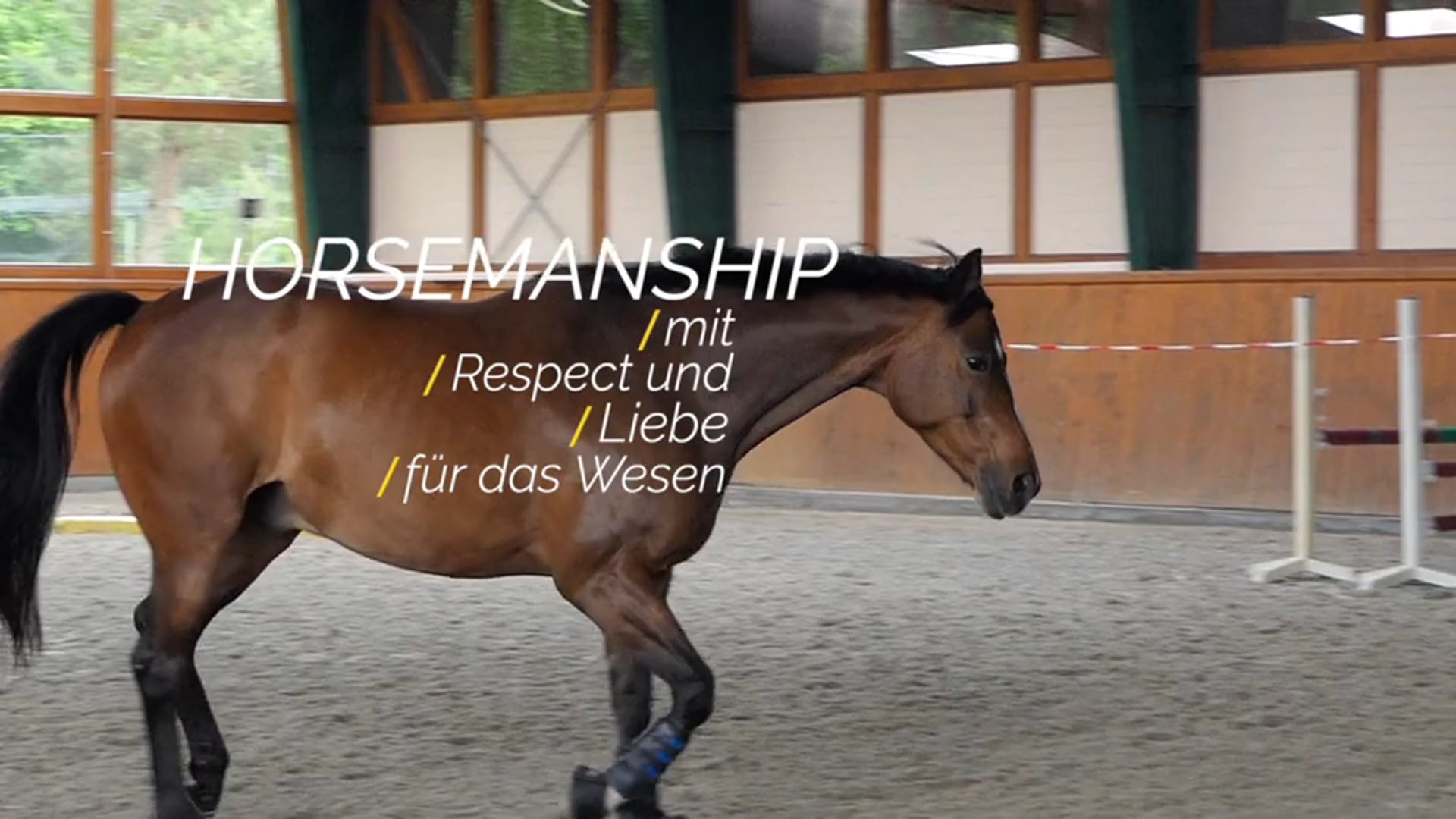 Horsemanship mit Respekt und Liebe für das Wesen