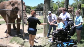 Cameron Park Zoo to Receive Gift for Elephant Conservation