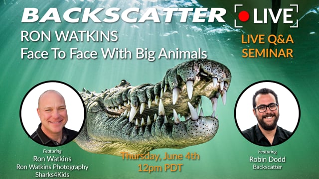 Face to Face with Big Animals featuring Ron Watkins [Recorded LIVE] June 4th 2020