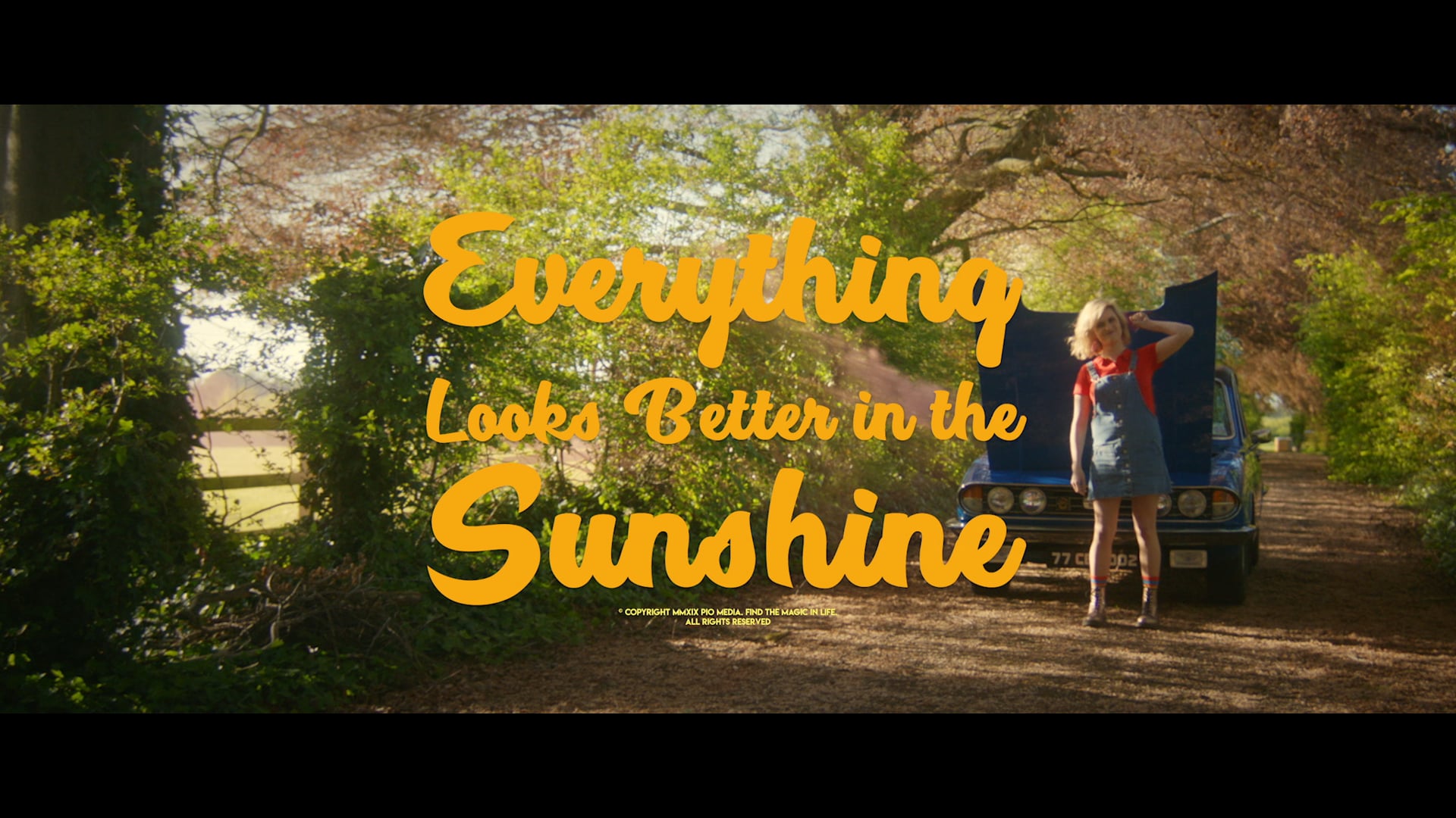 Everything Looks Better In The Sunshine Trailer