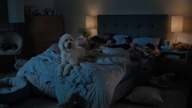 Bedshed - Customer Success Story