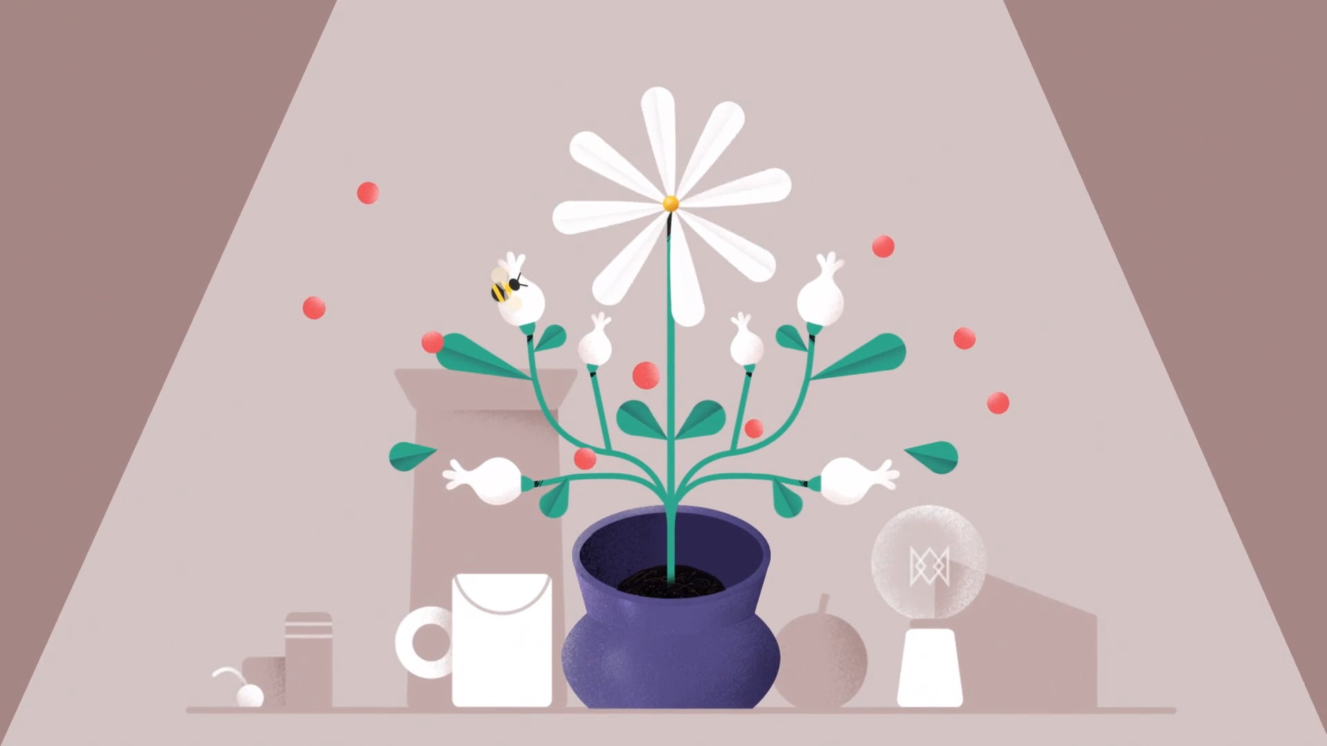 Seed&Stem | Motion Design ▪ Sound Design