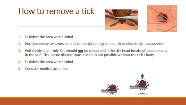 Remote Learning 09 - Tick and Mosquito safety