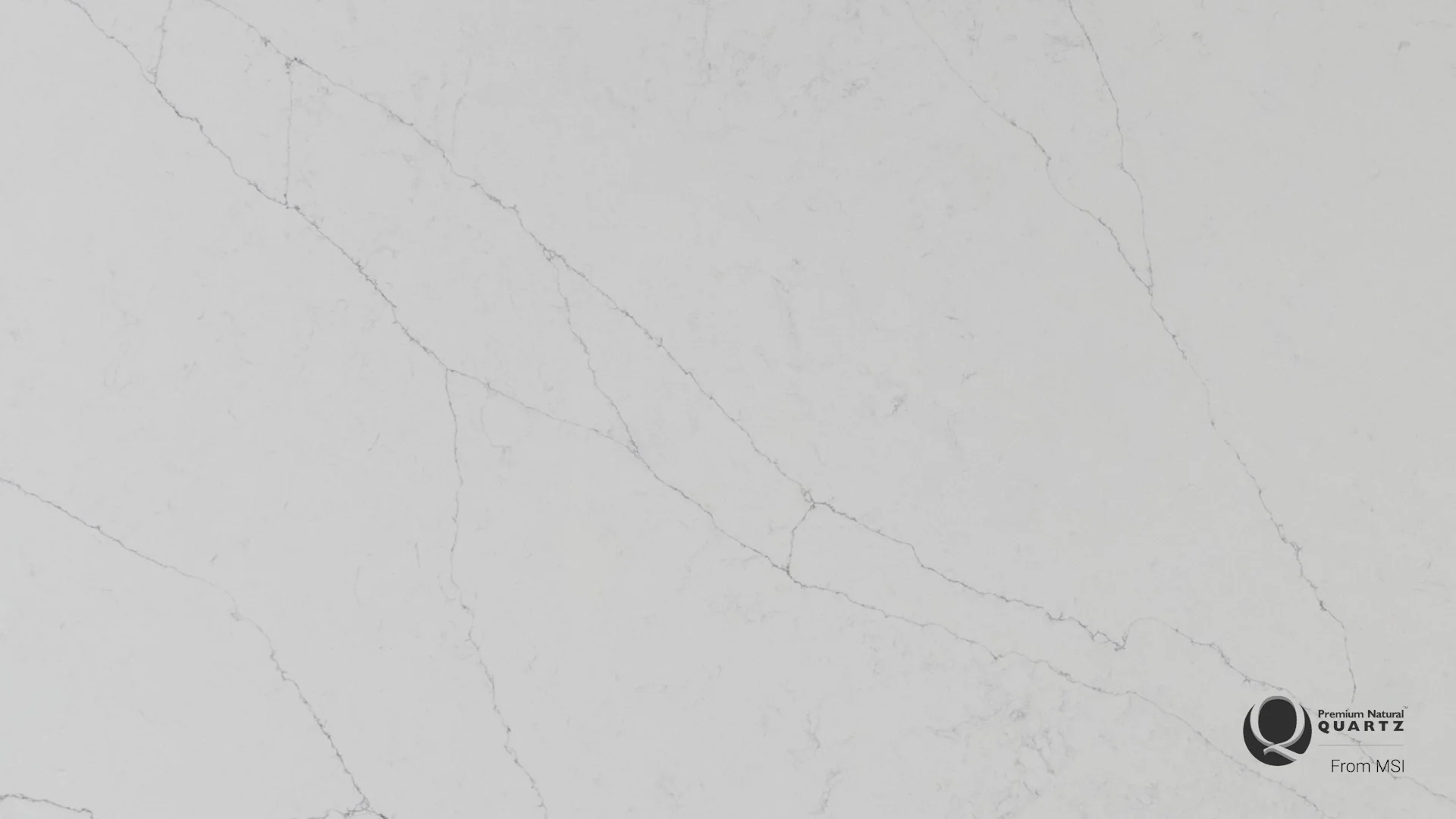 Calacatta Alto White Quartz Q™ Premium Quartz