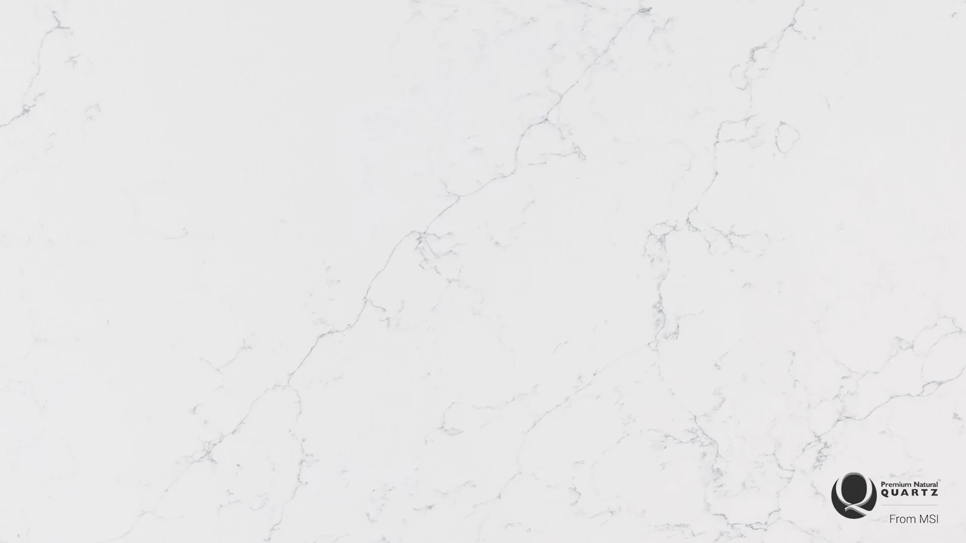 Calacatta Botanica Quartz White Quartz Q™ Premium Quartz