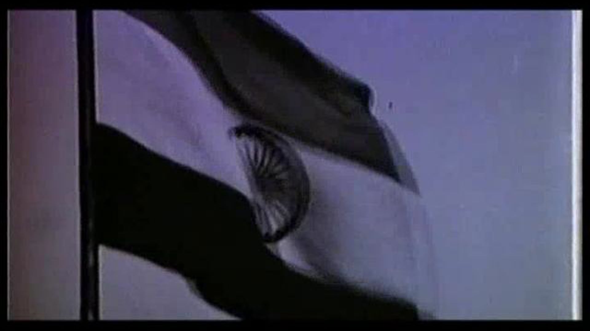 Mission Ustaad