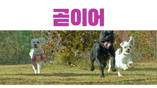 경기도_유행가