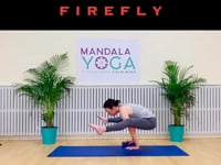 FIREFLY /  TITTIBHASANA 