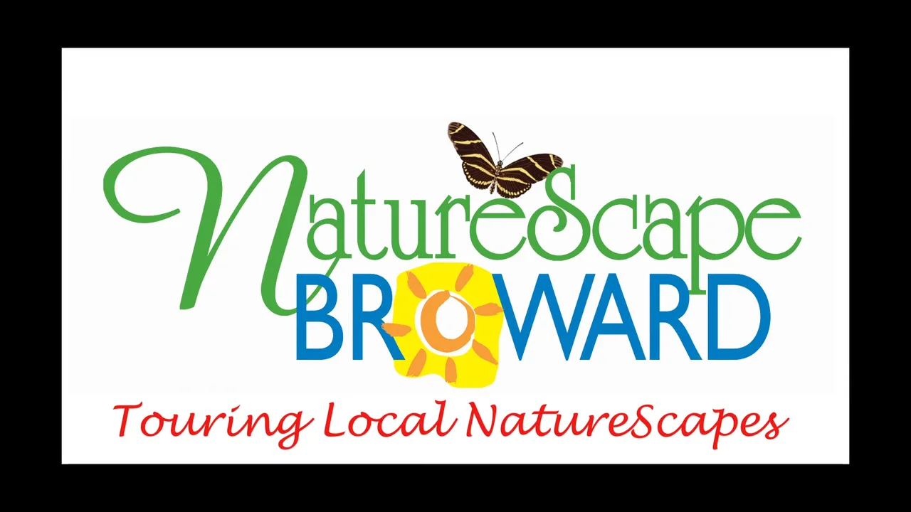 Touring Local Naturescapes in Broward County  