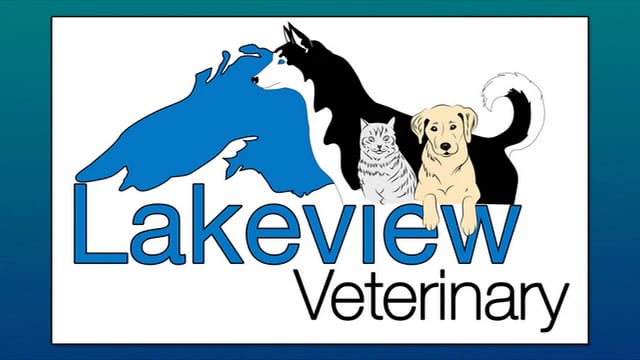 Lakeview Veterinary | Veterinary Care | Ashland, WI
