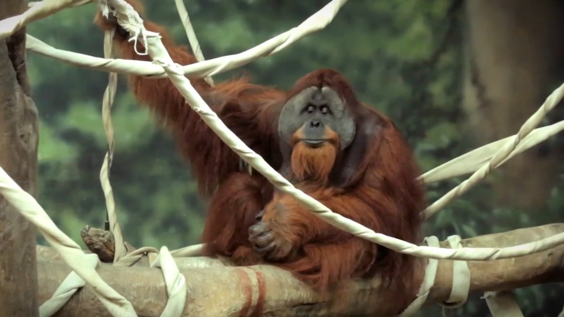 Parkview Partners with Fort Wayne Children's Zoo