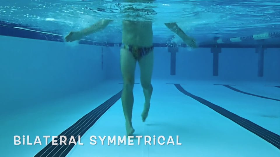 Upper Body Variations