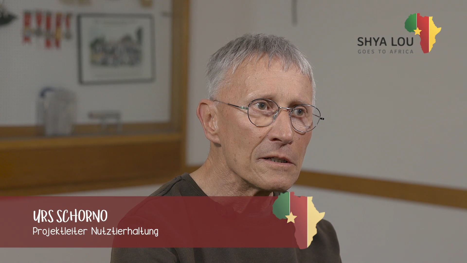 Suche nach dem Grund für das Schweinesterben