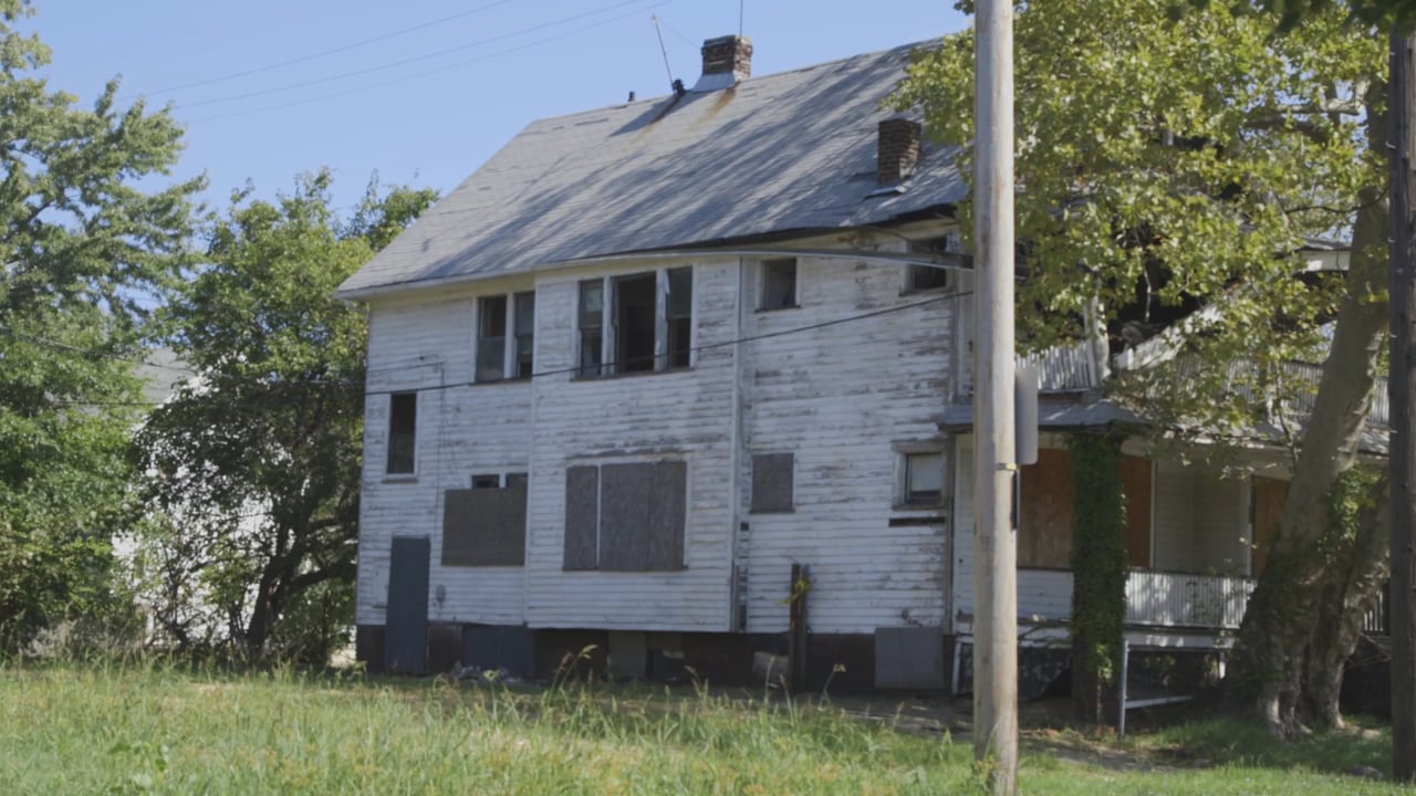 blight