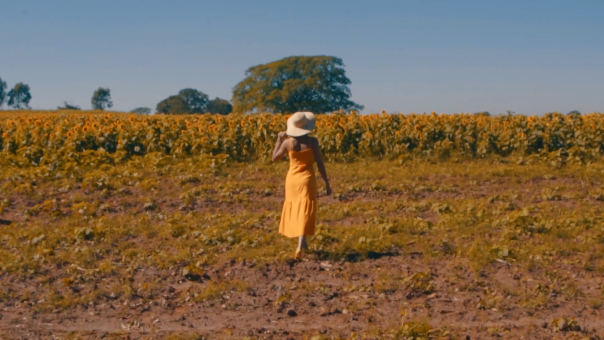 Sunies Sandals - Fashion Film