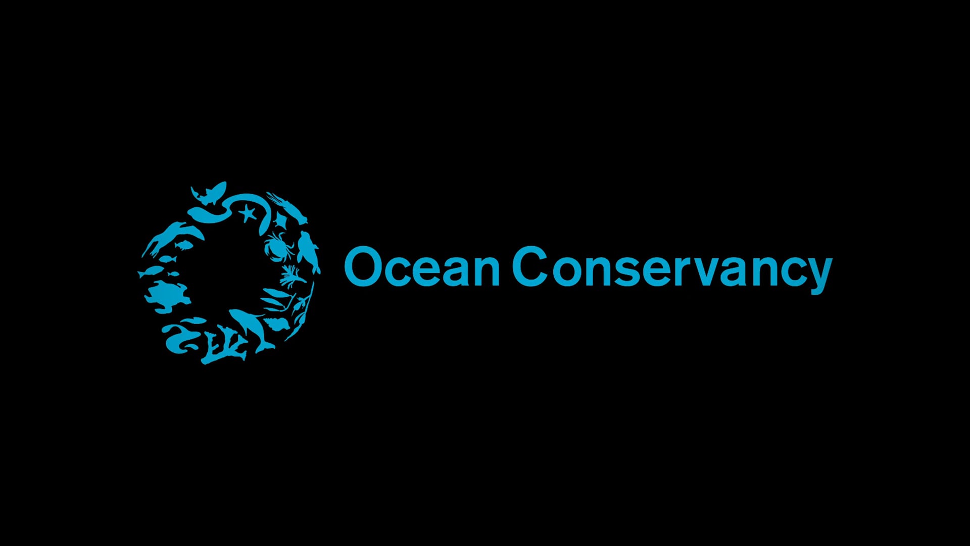 Ocean to the Everglades - Documentary Part 1