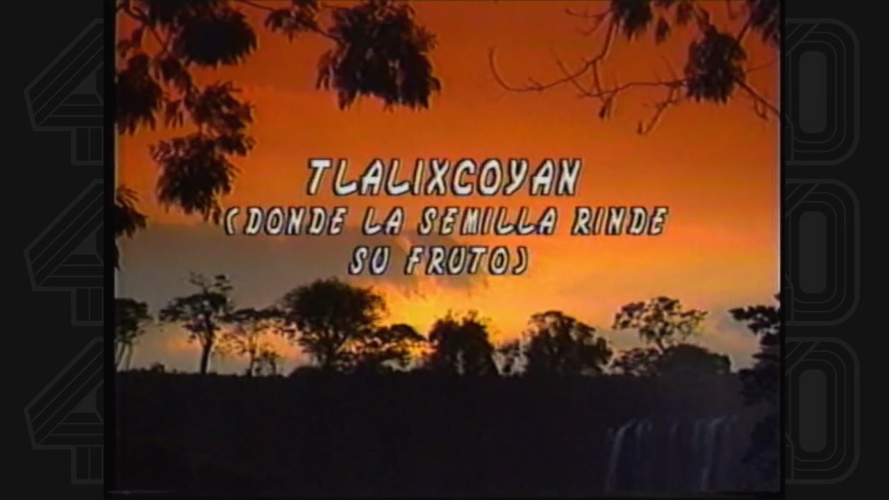 Tlalixcoyan, donde la semilla rinde su fruto.