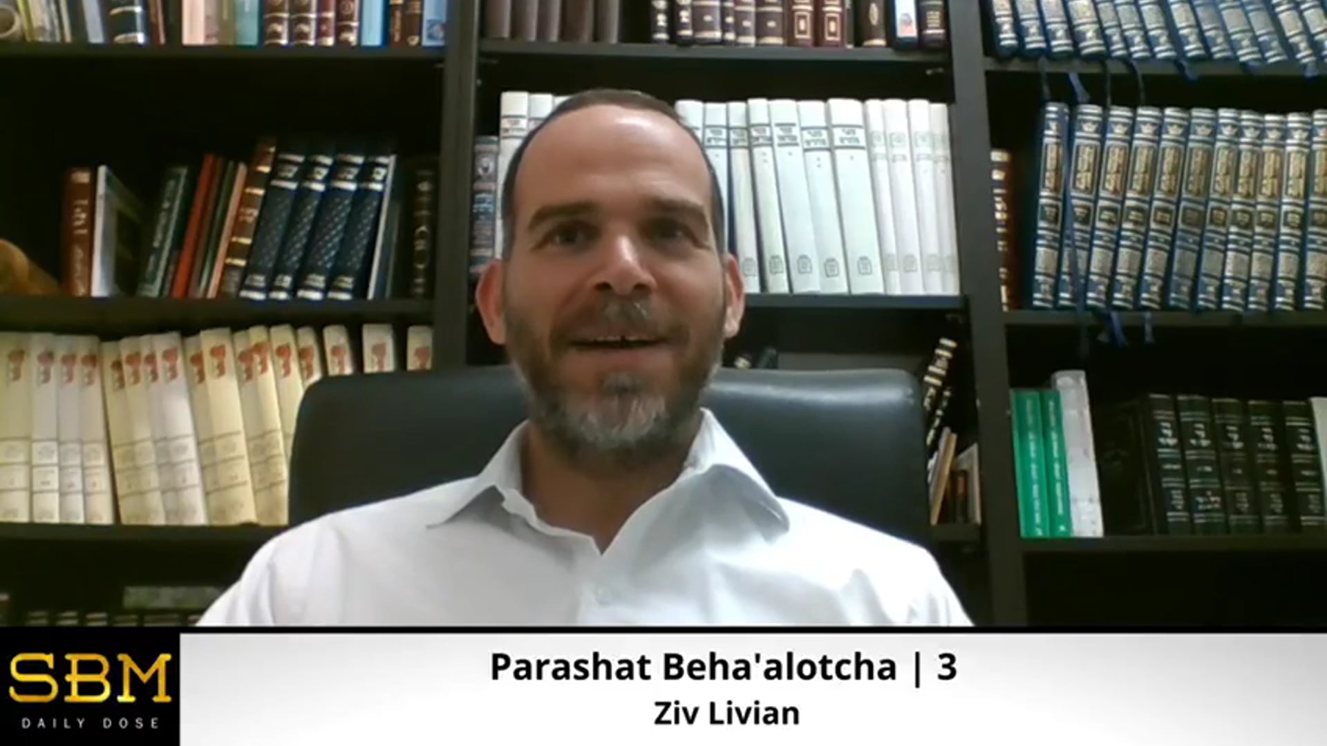 Parashat Beha'alotcha | 3 - Ziv Livian