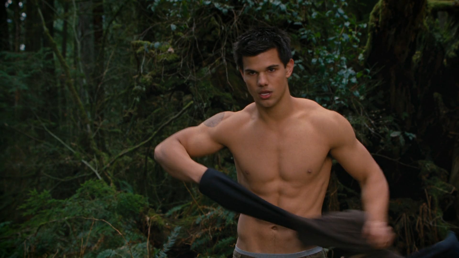 TWILIGHT SAGA JACOBS ABS