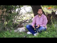 ع العافية - الحلقة الخامسة عشر والأخيرة