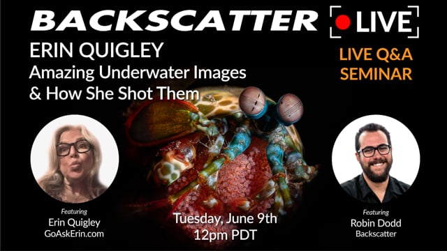Erin Quigley's Amazing Underwater Images & How She Shot Them [Recorded LIVE] June 9 2020