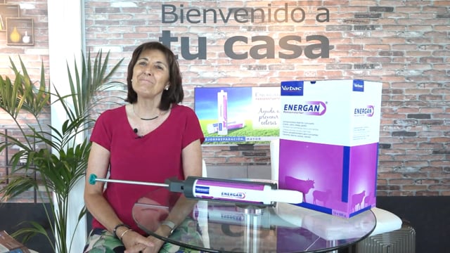 Entrevista a Carmen Castella