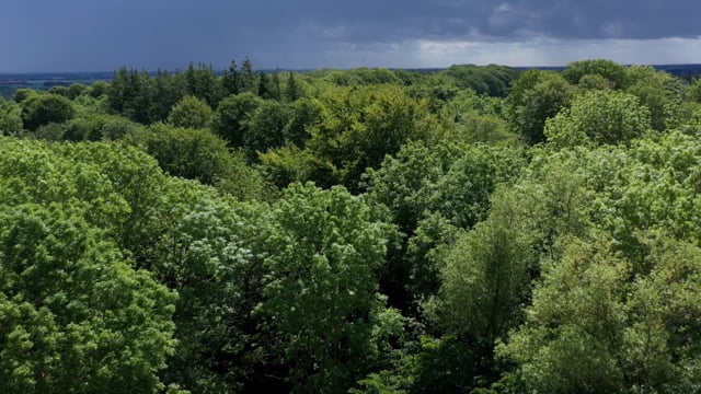 Kongehallen i Lejre, drone, 10 juni 2020