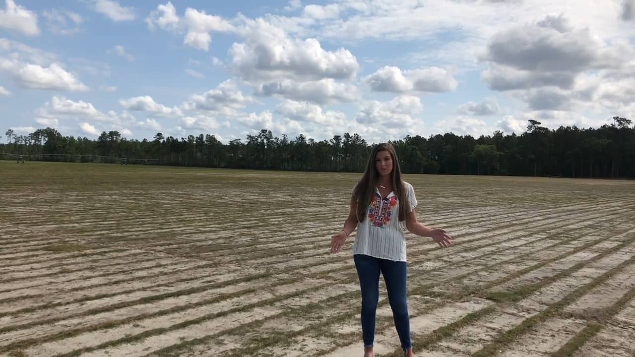 S&R Turf/ Southern Palmetto Farms Farm Tour on Vimeo