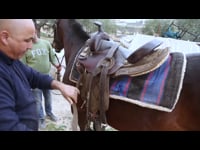 الخيل العربي الاصيل - بانوراما الخليل - الحلقة الثامنة عشر