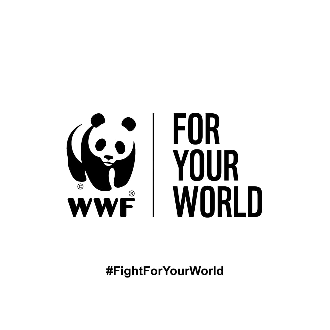 wwf-fight-for-your-world-palm-oil-on-vimeo