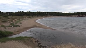 L'Ajuntament considera poc creïble l'informe sobre la platja del Rec