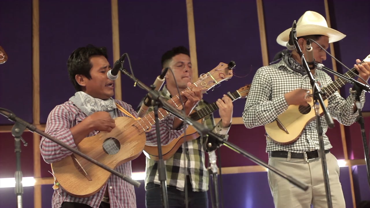 Pata De Vaca - La Tierra